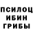 Псилоцибиновые грибы Psilocybe Petya Kozlovskij12