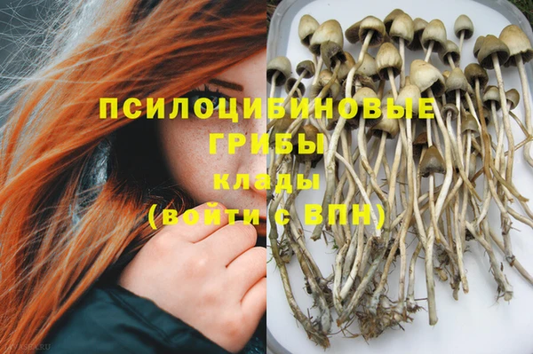 экстази Ладушкин