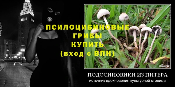 экстази Ладушкин