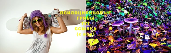 экстази Ладушкин