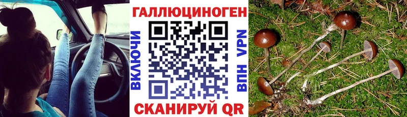 Псилоцибиновые грибы MAGIC MUSHROOMS  Купить  Краснослободск 